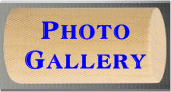 Photo Gallery